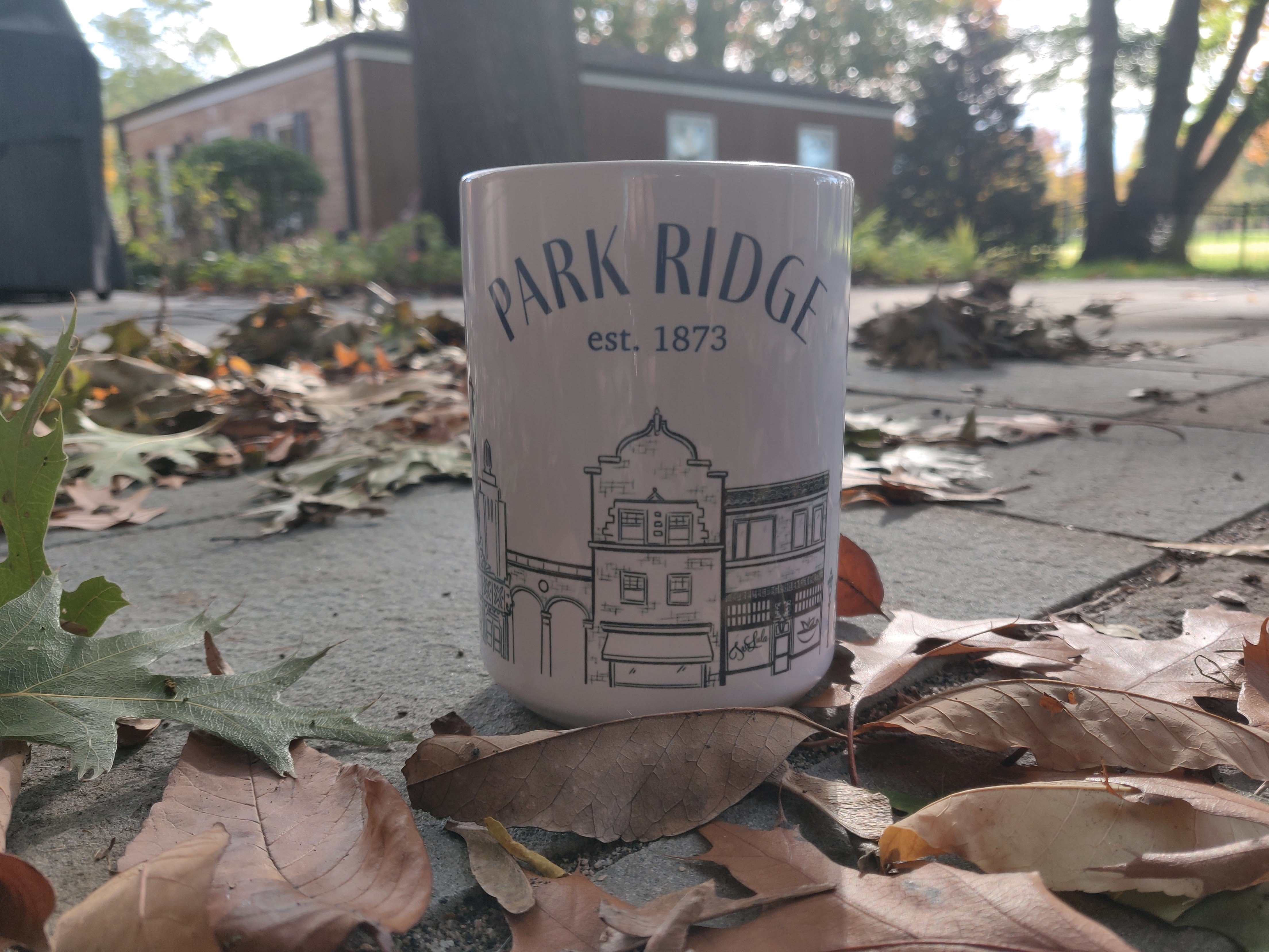 Park Ridge Mug